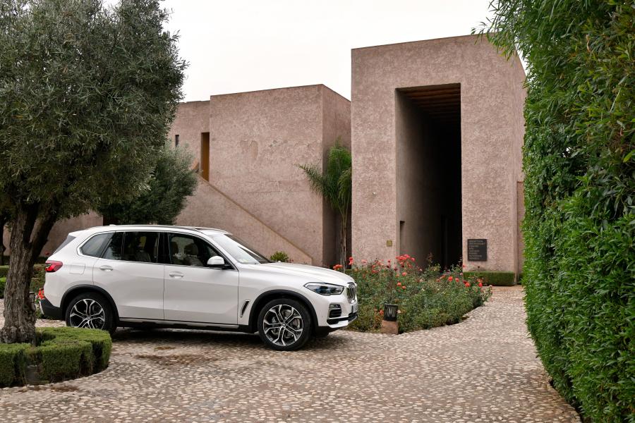  BMW X5 xDrive30d xLine (G05) 2018 года  (WW) (фото 7 из 33)